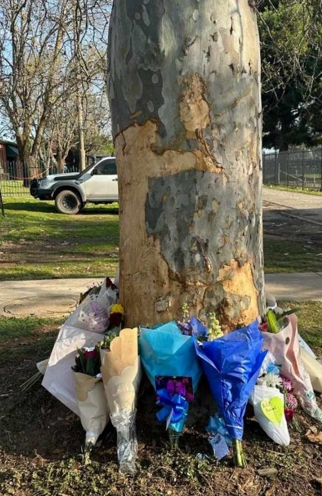 The tree the car crashed into in Corowa. Picture: Karl Parker