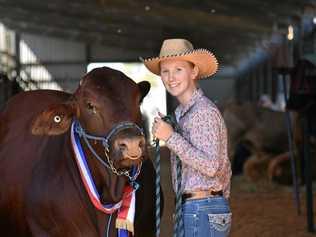 Rockhampton Agricultural Show Supreme Champion Bull Bilo High Commando with leader Candice Rideout. Picture: Geordi Offord