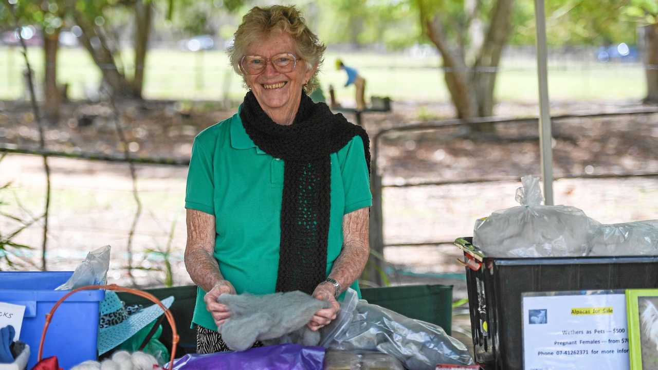 OPEN DAY: Sylvia Hyland appreciates the softness of alpaca wool at the Allyhar Alpacas open day. Picture: Brian Cassidy