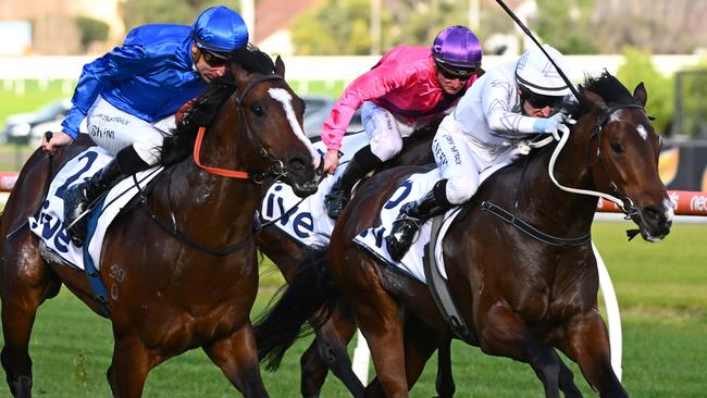 Quality colt Ouroboros (right) should enjoy a class drop at Flemington on Saturday. Picture: Getty Images