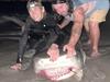 Aussie reels in huge tiger shark