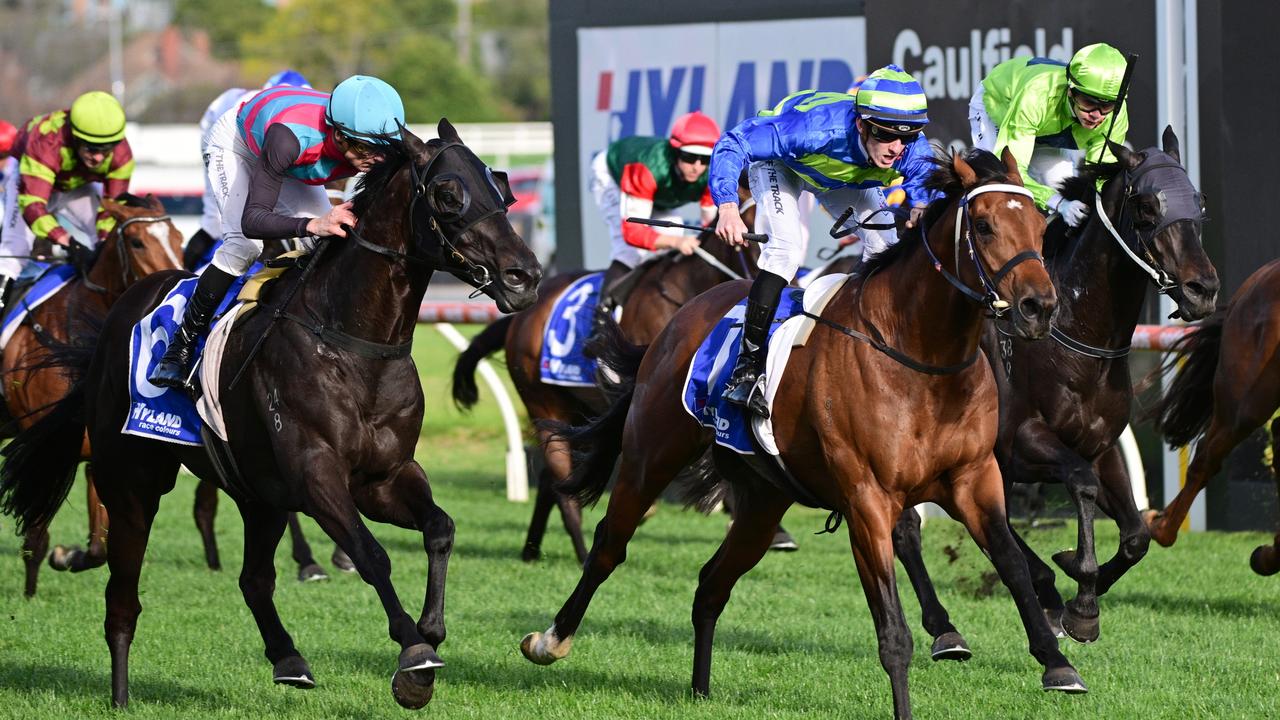 Antino (left), second in last year’s Toorak Handicap, is aiming to go one better inthe race on Saturday. Picture: Vince Caligiuri/Getty Images