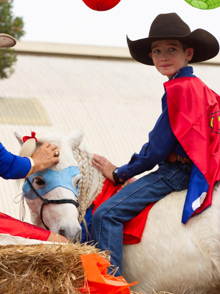 Would you believe this pony was standing on the back of a truck at the 2023 Gayndah Orange Festival.