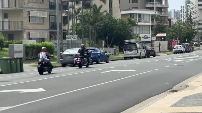 Pink spotted on Gold Coast