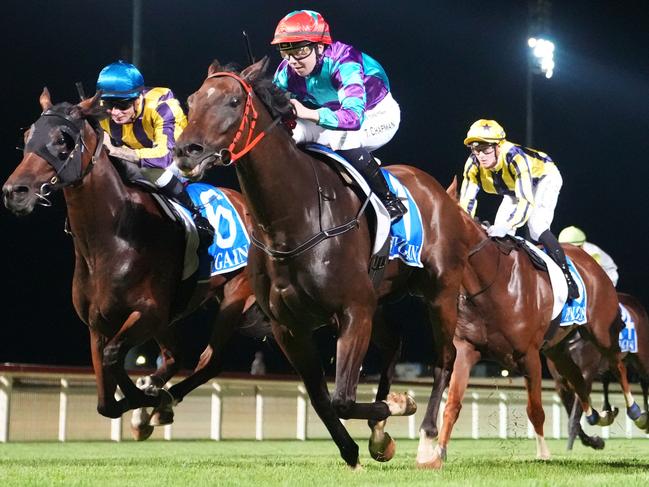 Wascaly can again give his rivals something to chase when he heads to Sandown on Wednesday. Picture: Racing Photos via Getty Images.