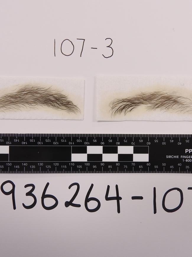 Eyebrows seized from John Ibrahim's house.