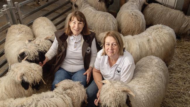 Farm Valais stud principal Jane Lauber, from Yarrambat. Picture: Zoe Phillips