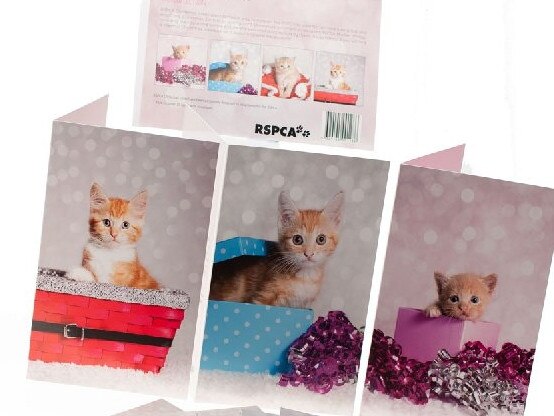 Sales of RSPCA Christmas cards provide much needed funds for the charity.