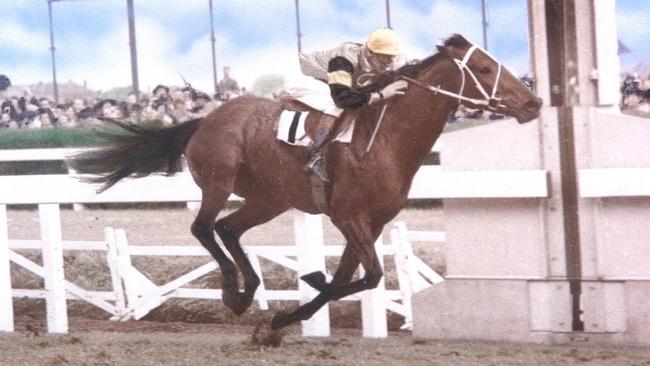 Rising Fast enjoyed his gallop in the 1954 Melbourne Cup so much he went for one around Melbourne’s south-eastern suburbs. Picture: Mike Keating