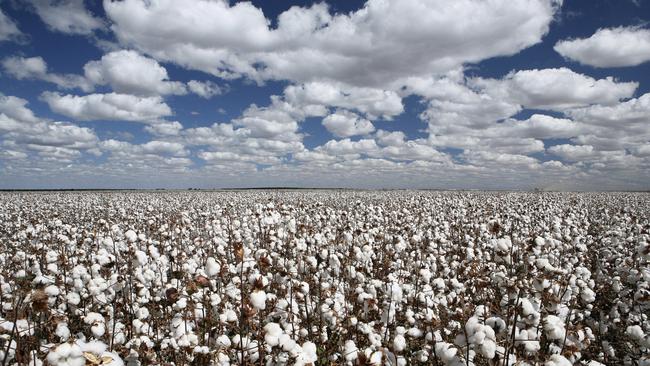 Cotton and cereal grower Timothy Commins was fined on Tuesday for over-pumping 1351ML of water.