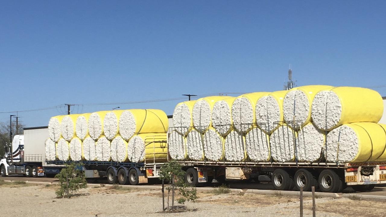 Cotton Katherine Northern Territory Picture Gary Shipway