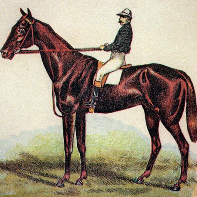 1876 Melbourne Cup winner Briseis in an undated painting.