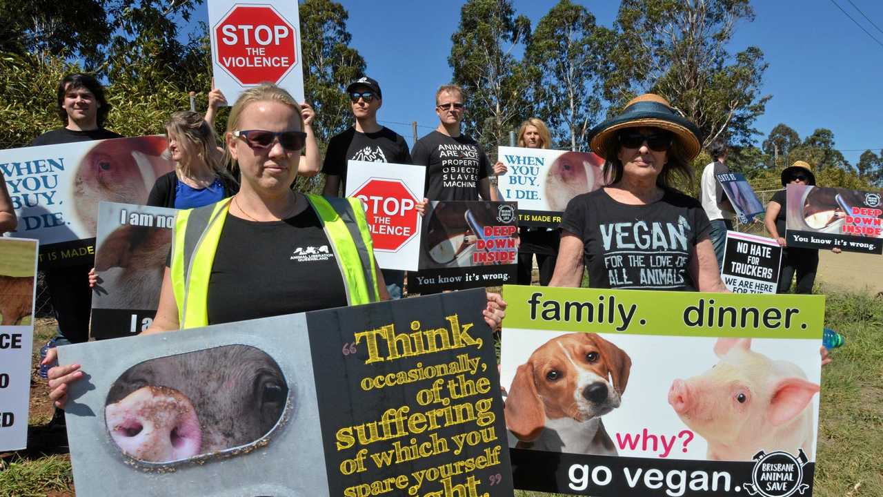 Animal rights activists descended on Swickers in Kingaroy on Wednesday to protest against the slaughter of animals. Picture: Tobi Loftus