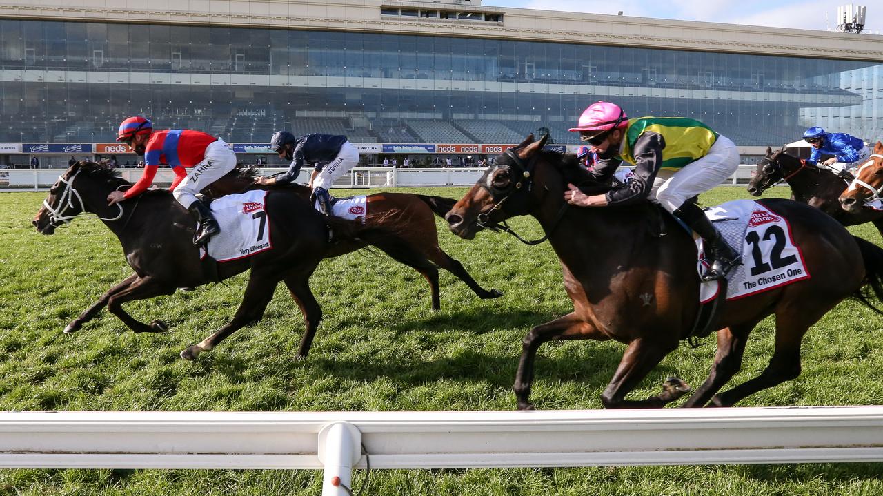 The MRC has applied to host crowds at the Caulfield Cup. Picture: Racing Photos