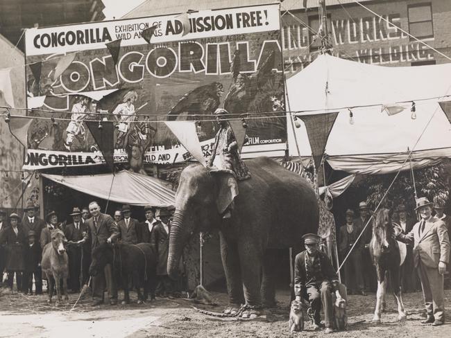 The Congorilla sideshow, an exhibition of wild animals, at the Sydney Royal Easter Show, 1930s. Picture: Sam Hood/State Library NSW