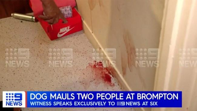 There was blood on the floors and walls when emergency services attended the scene. Photo: 9 News