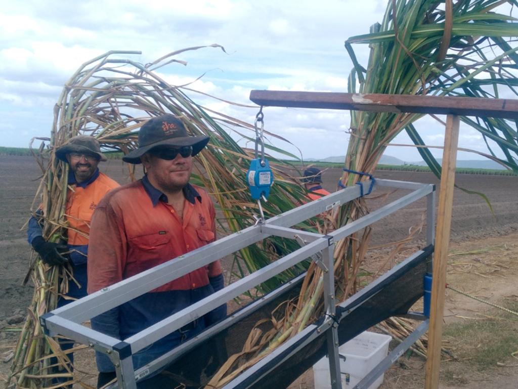 SRA Researcher Julian Connellan notes EEFs “may not suit every farm”.