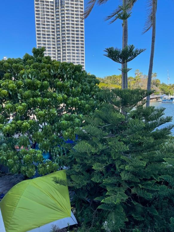 Homeless crisis on the Gold Coast – a camp site near five-star hotels for Surfers Paradise.