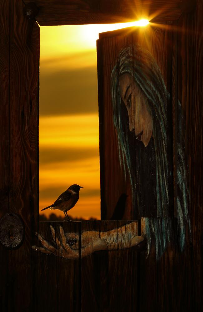 Julian Fernandez Quilez, of Spain, set up his Urban Birds picture by orientating a painted door at an abandoned farmhouse to let the sunrise in and using three flashes to illuminate the painting. “It took multiple sessions to achieve the desired effect,” he said. It was the bronze winner. Picture: Julian Fernandez Quilez / Bird Photographer of the Year