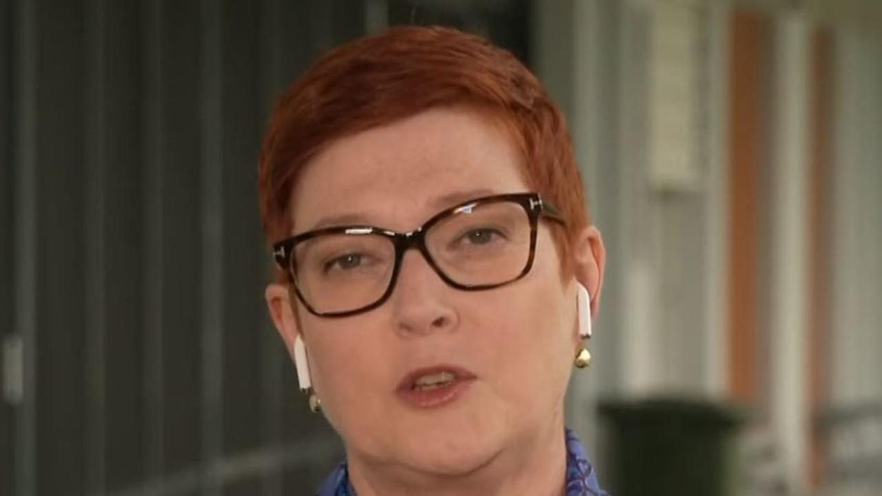 Foreign Minister Marise Payne denies painting a rosy picture.