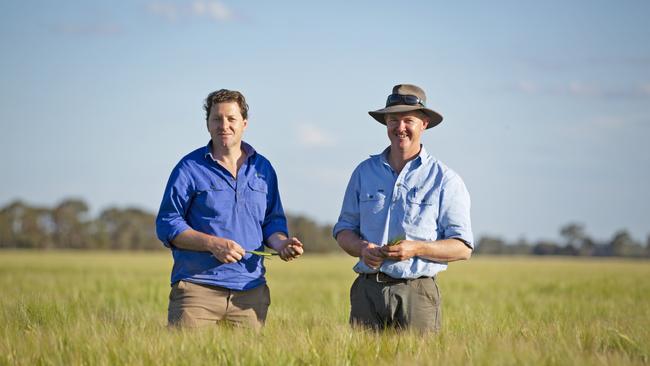 goFARM managing director Liam Lenaghan and chief farming office Nick Raleigh at Sandmount Farms aggregation near Katunga in northern Victoria which is on the market for more than $250 million.