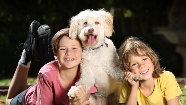 Woolworths’ move to expand into the fast-growing pets sector via its $586m purchase of a controlling stake in pets business PETstock has hit a regulatory snag. Picture: Alex Coppel