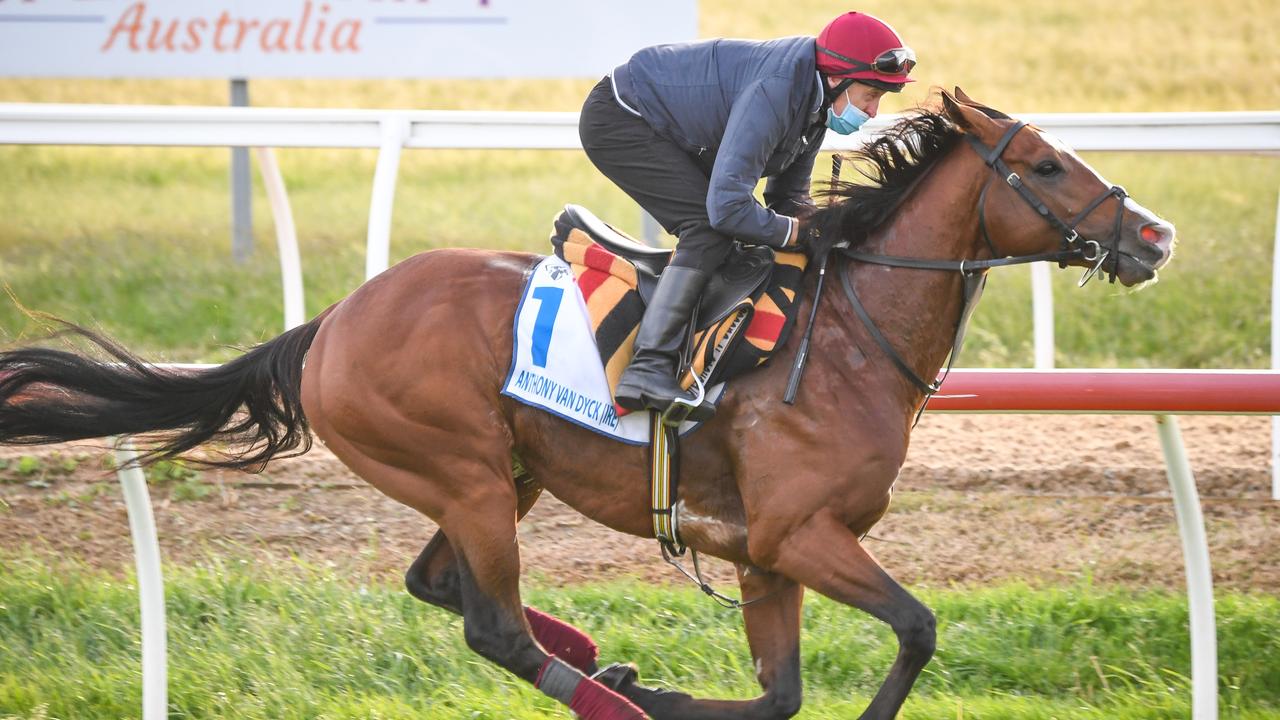 Melbourne Cup 2020 Final Field Horses Odds Betting Who Is The Favourite Start Time And Date For Race Barriers