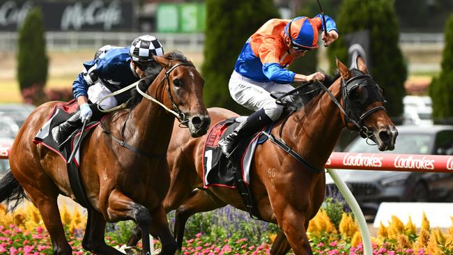 Grinzinger Belle (right) gets run down by Vibrant Sun last start.