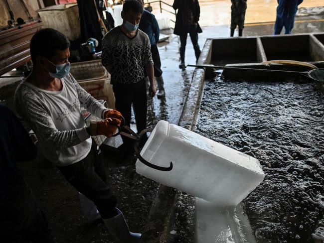 A worker wearing a face mask as he throws ice into a pool with fish at a shop at the Wuhan Baishazhou Market. Picture: Hector Retamal/AFP