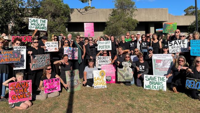 Up to 150 protesters fighting to stop a Harry Potter event being held at The Briars Wildlife Sanctuary outside Mornington Peninsula council offices in Rosebud. Picture: Lucy Callander