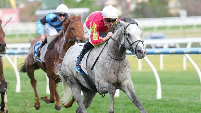 Kingswood (GB) ridden by John Allen wins the Sportsbet Coongy Cup at Caulfield Racecourse on October 16, 2024 in Caulfield, Australia. (Photo by Scott Barbour/Racing Photos via Getty Images)