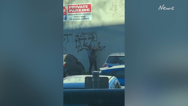 Graffiti vandal caught on camera spraying 'crap'