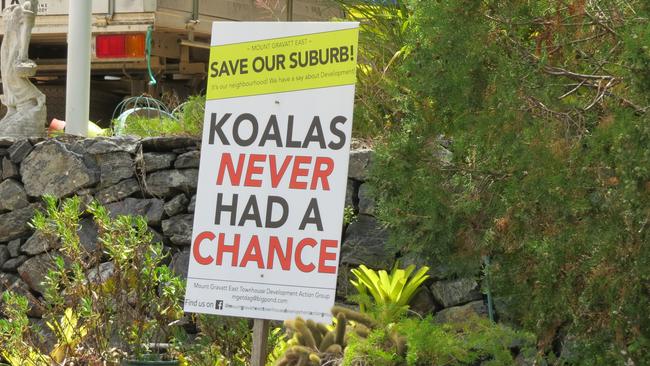 Residents were deeply concerned about the welfare of koalas on the site when the land was cleared. Picture: Kristy Muir 