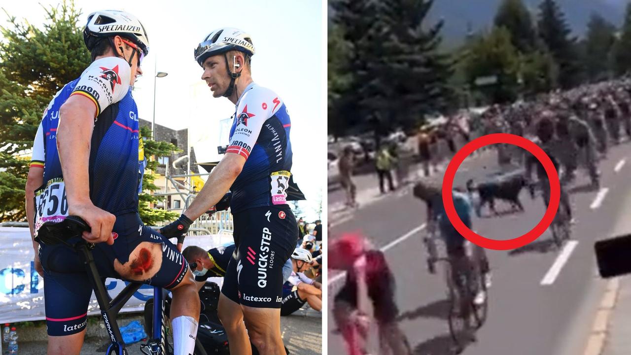 Yves Lampaert fait rage face au chaos du Tour de France alors que les causes canines s’accumulent dans le peloton