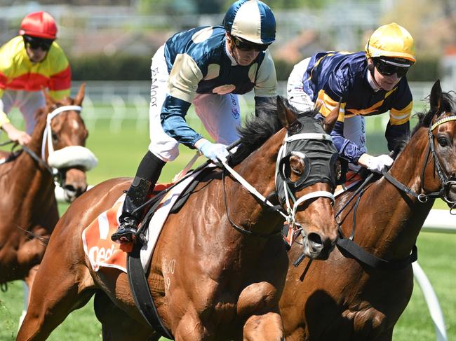 MELBOURNE, AUSTRALIA - OCTOBER 18: Daniel Moor riding Muramasa defeats Gregolimo (3rd) in race 2, the Neds Coongy Cup,  during Melbourne Racing at Caulfield Racecourse on October 18, 2023 in Melbourne, Australia. (Photo by Vince Caligiuri/Getty Images)