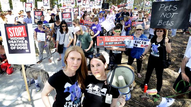 Hundreds protest against new greyhound racing track proposed for ...