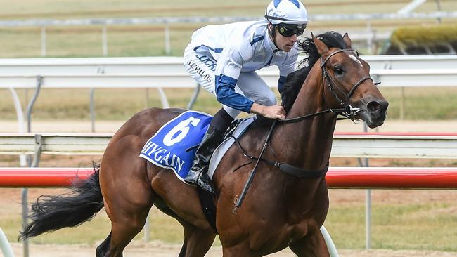 Greycliffe (NZ) ridden by Jordan Childs wins the Carlton Draught BM64 Handicap at Seymour Racecourse on October 22, 2017 in Seymour, Australia. (Brett Holburt/Racing Photos via Getty Images)