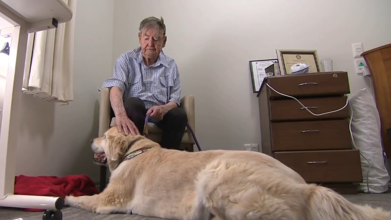 Victoria nursing home campaigning for pets to help combat loneliness