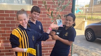 St Joseph's Catholic Primary School children planting their Bible Garden.