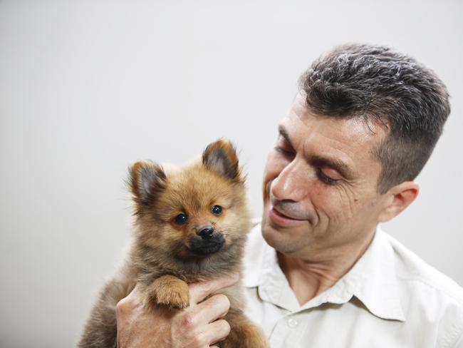 John Grima, owner of Kellyville Pets, with a 9-week-old Pomeranian puppy. Picture: Dylan Robinson