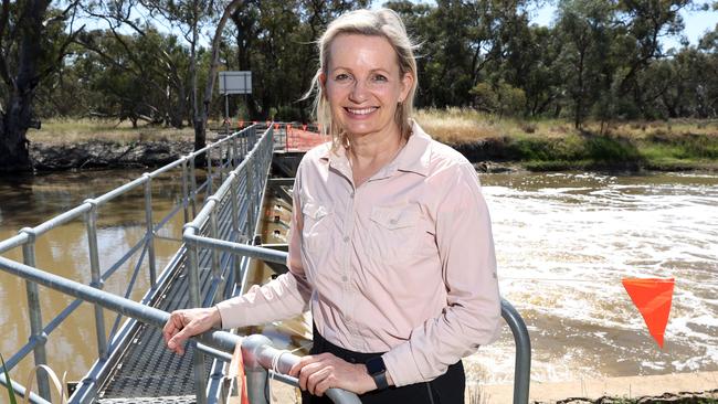 Environment Minister Sussan Ley’s preselection was under threat. Picture: Richard Dobbins