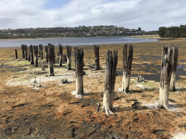 The anti-tank obstacle in Dee Why Lagoon in 2020. Picture Manly Daily