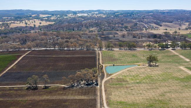 Drone photographs from the Cudlee Creek fire. Vineyards on the edge of the township of Woodside. Picture: Brad Fleet