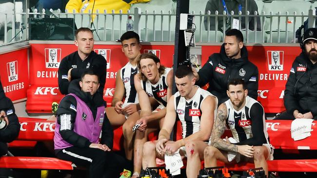 MELBOURNE, AUSTRALIA - AUGUST 5: Tom Mitchell, Nick Daicos and Nathan Murphy of the Magpies are seen in the back row of the bench during the 2023 AFL Round 21 match between the Hawthorn Hawks and the Collingwood Magpies at Melbourne Cricket Ground on August 5, 2023 in Melbourne, Australia. (Photo by Dylan Burns/AFL Photos via Getty Images)