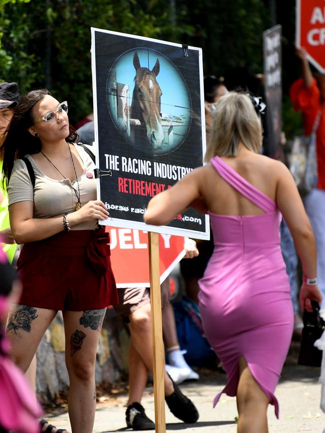 A racegoer walks past animal welfare activists as they protest outside the Eagle Farm racecourse. Picture: AAP/Dan Peled