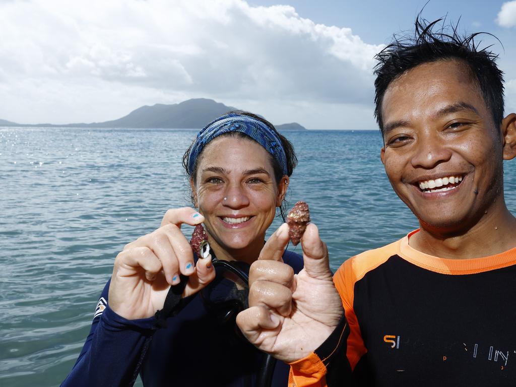Fitzroy Island marine biologist Laura Pederson and Master Reef Guide Azri Saparwan are educating resort guests about the coral eating Drupella snail from the fringing reefs around the island. Picture: Brendan Radke