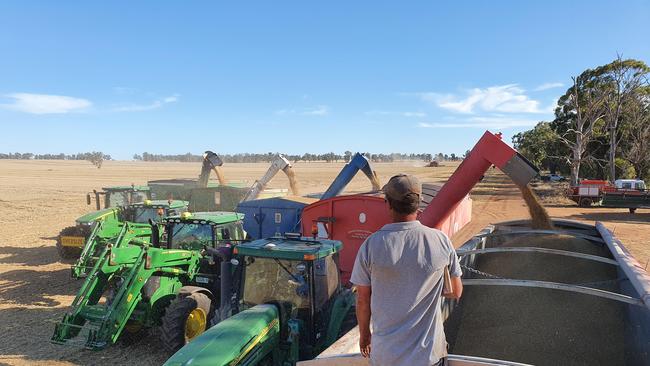 Tractors line up to empty loads after harvesting at the Birds’ NSW farm, after neighbours, including Peter Richardson, pictured, helped strip crops. Picture: Alastair Robb