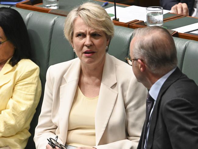 CANBERRA, AUSTRALIA, NewsWire Photos. FEBRUARY 14, 2024: Minister for Environment and Water Tanya Plibersek and Prime Minister Anthony Albanese during Question Time at Parliament House in Canberra. Picture: NCA NewsWire / Martin Ollman