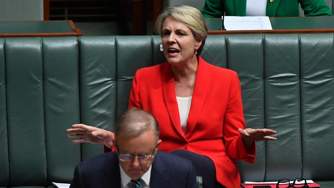 Questioned summit.... Tanya Plibersek. Picture: Getty