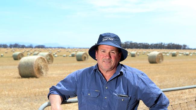 After the frost hit the region Graeme made the decision to cut more wheat for hay. Picture: Yuri Kouzmin